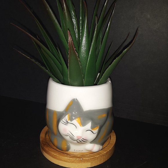 Kitty Cat Planter with Bamboo Saucer NWOT - Picture 1 of 5